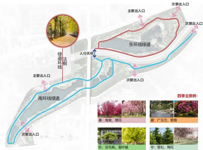“一径梧桐影，半城花园名“-山西晋城“法桐绿道”项目-荣获河北省园林设计一等奖